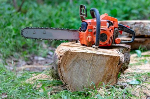 Abattage d'un arbre à la tronçonneuse en toute sécurité - Perpignan - L'ARBRE D'AQUI